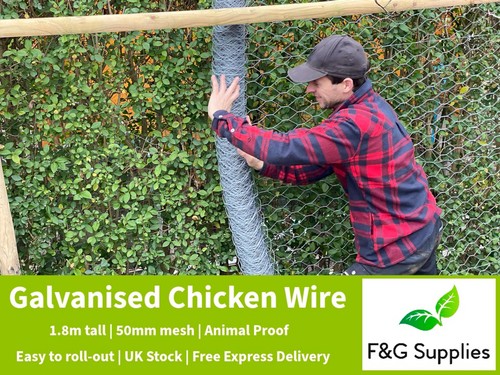 Chicken garden wire mesh - mesh, 6ft