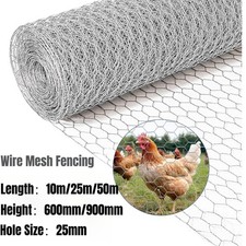 Chicken Wire Mesh Fencing