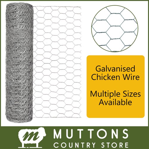 Galvanised chicken wire - galvanised,