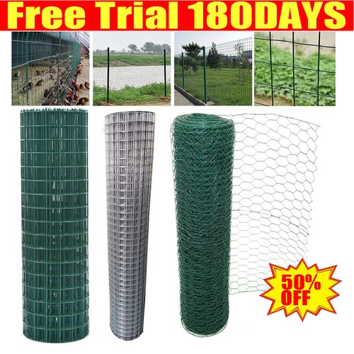 Galvanised chicken wire - chicken, mesh