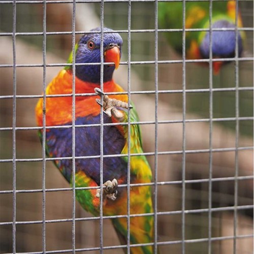 Cage aviary mesh - aviary, 0.6
